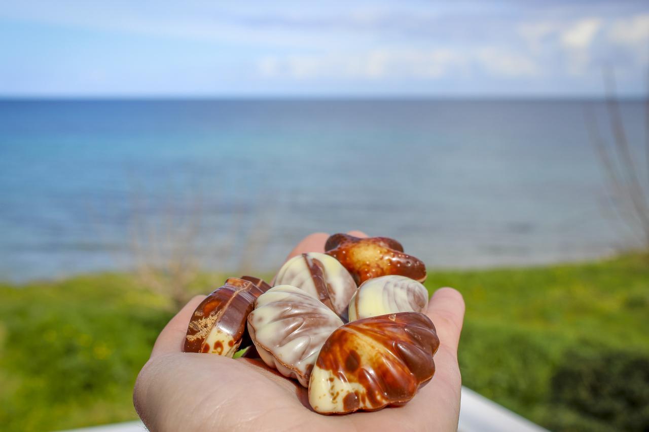 Pelagion Ii Sea Coral - Beachfront Holiday * Κυψέλη